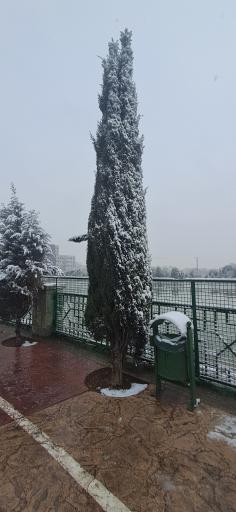 عکس دریاچه بوستان رازی