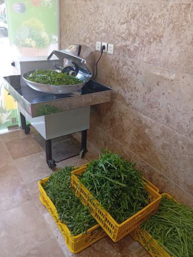 عکس دهکده سبزی آنیسا