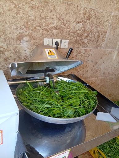 عکس دهکده سبزی آنیسا