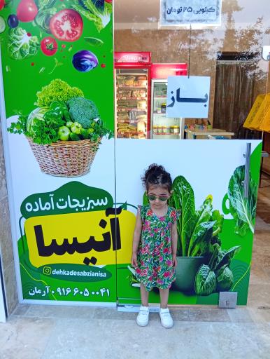 عکس دهکده سبزی آنیسا