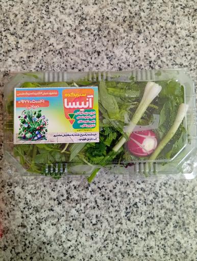 عکس دهکده سبزی آنیسا