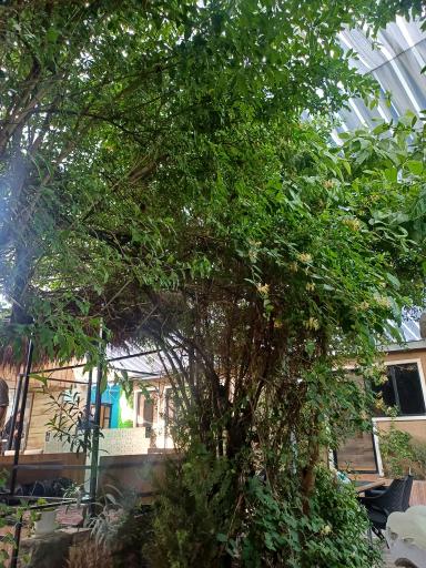 سفره خانه نبی خان