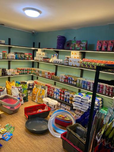 کلینیک دامپزشکی حیوانات خانگی و پرندگان آرامیس