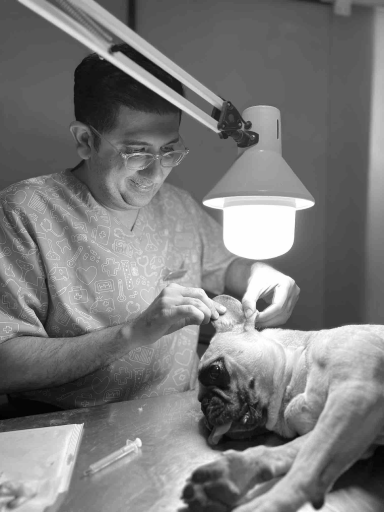 عکس کلینیک دامپزشکی حیوانات خانگی و پرندگان آرامیس