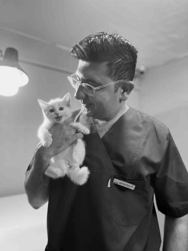 عکس کلینیک دامپزشکی حیوانات خانگی و پرندگان آرامیس