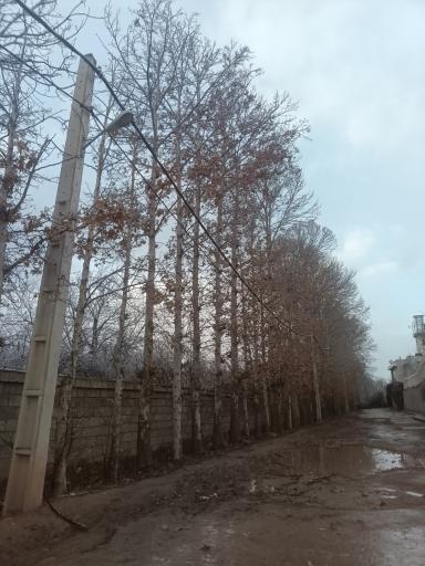 عکس باغ راه گردشگری خلبان شهید رادفر