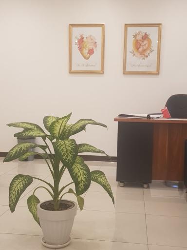 عکس مطب دکتر مهدی ابراهیمی فوق تخصص قلب کودکان