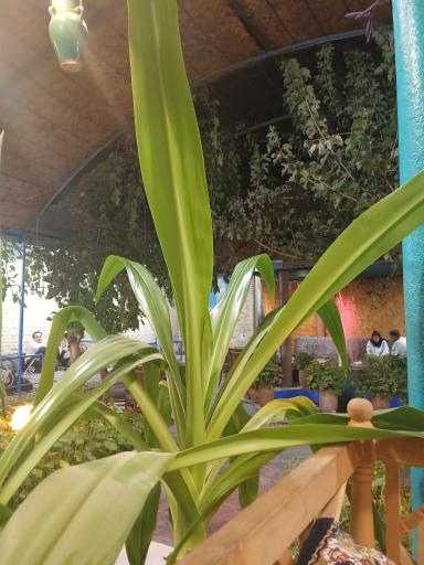 عکس سفره خانه نبی خان