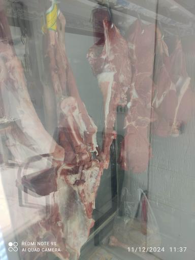 عکس سوپر گوشت شترمرغ 