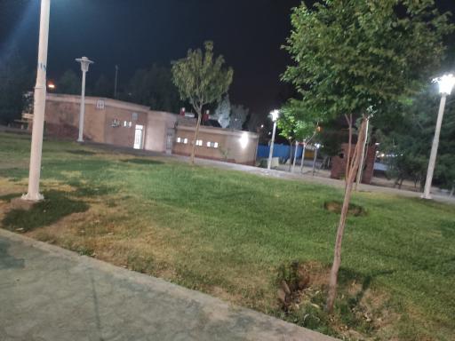 سرویس بهداشتی