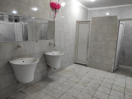 سرویس بهداشتی