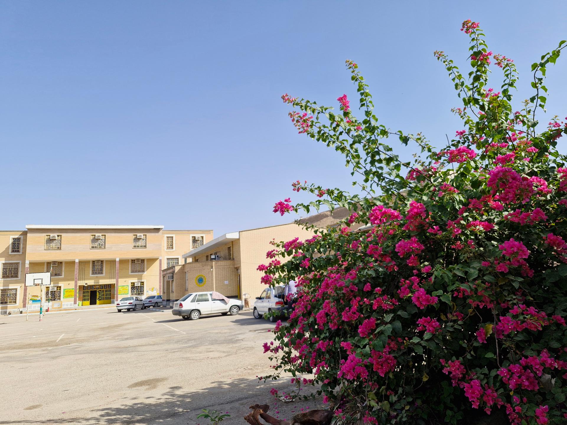 عکس هنرستان کارودانش آمنه