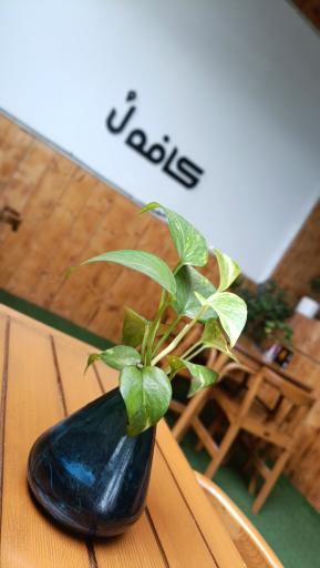 عکس کافه لُ