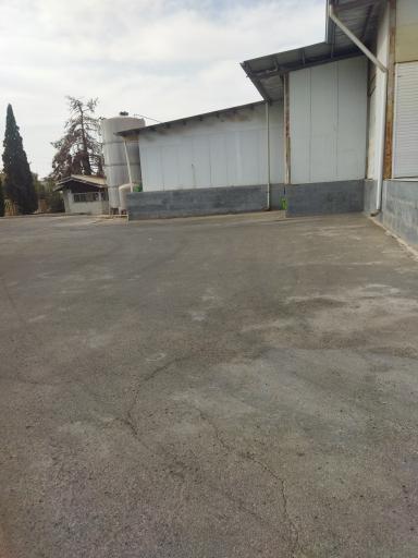 عکس شرکت گل کنسرو