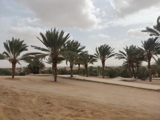 عکس مسجد حضرت رقیه سلام الله 