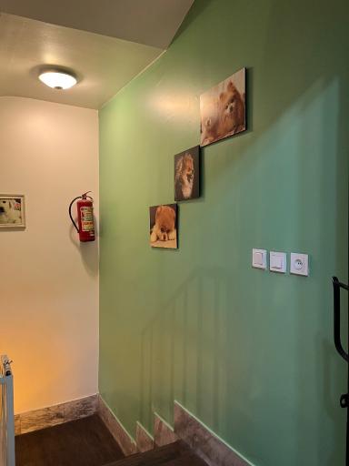 عکس بیمارستان دامپزشکی نوید navid Veterinary Hospital