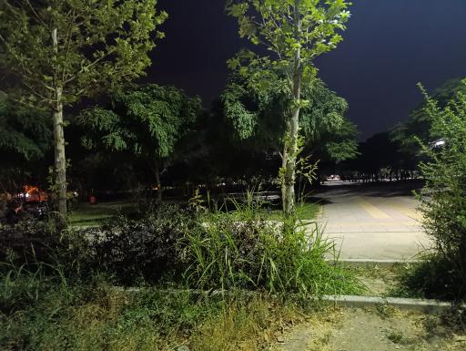 عکس پارک گلسار 