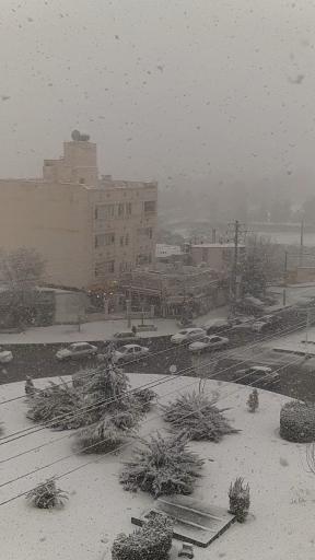 عکس میدان لاله