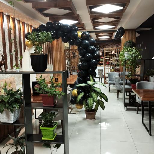 عکس سان برگر