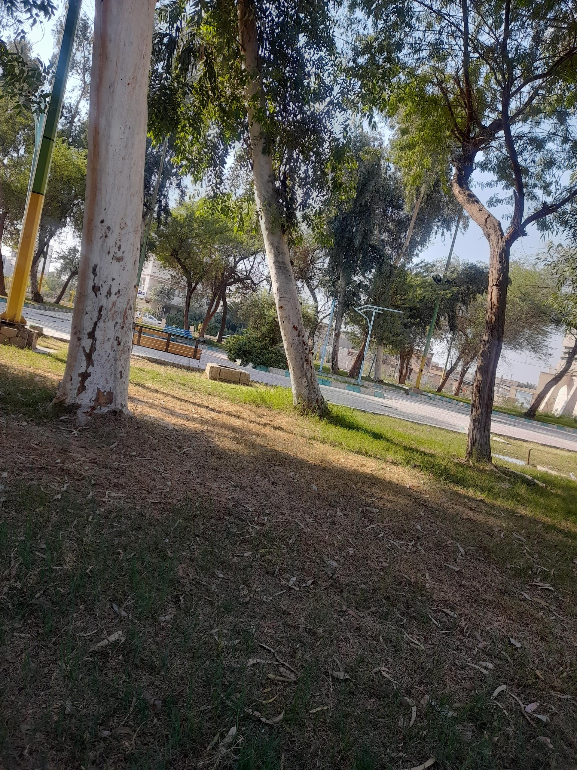 عکس پارک شقایق