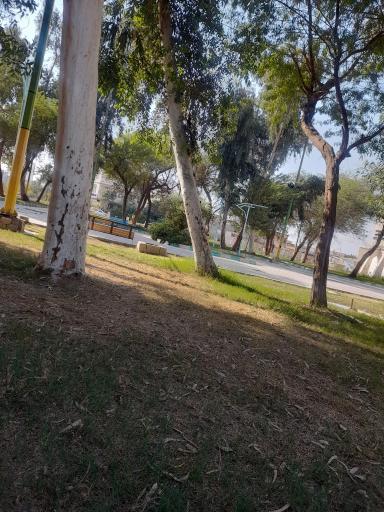 عکس پارک شقایق