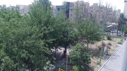 عکس بوستان شیبا