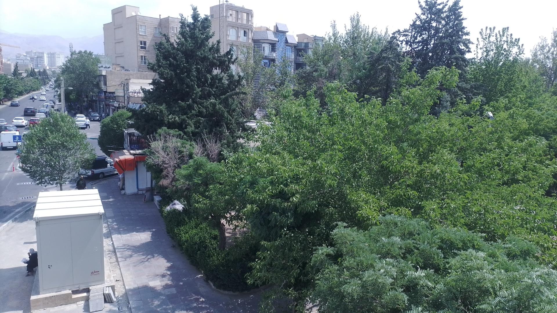 عکس بوستان شیبا