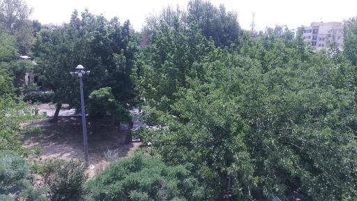 عکس بوستان شیبا