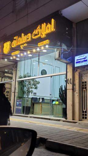 عکس گروه مشاورین املاک دیپلمات