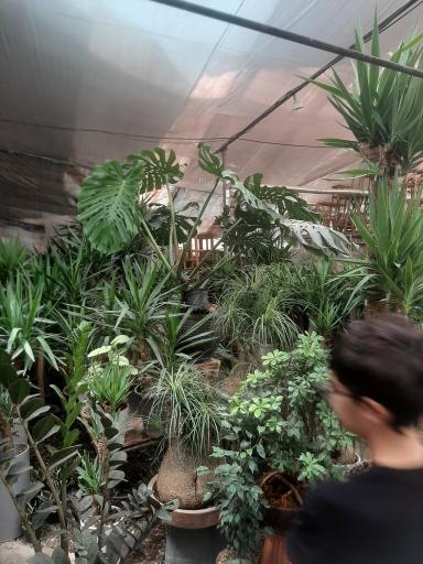 عکس بازار گل بهار