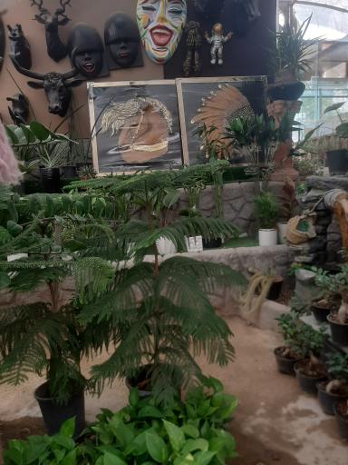 عکس بازار گل بهار