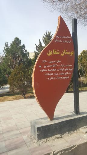 عکس بوستان شقایق