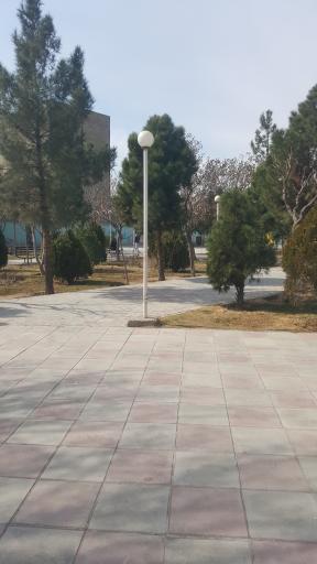 عکس بوستان شقایق