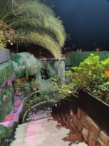 عکس سفره خانه باغ شمس العماره