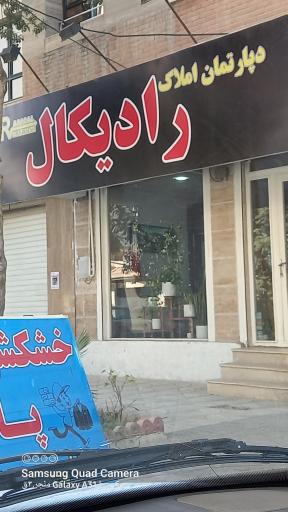 دپارتمان املاک  رادیکال