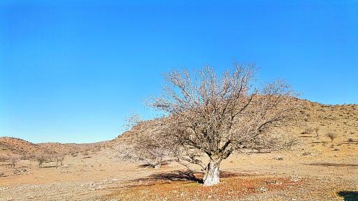 عکس قادرآباد