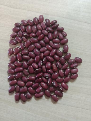 عکس بوجاری و سرتینگ حبوبات و تخمه