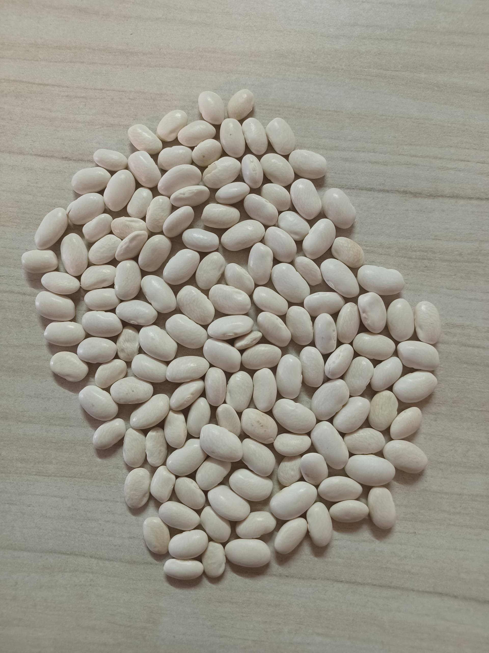 عکس بوجاری و سرتینگ حبوبات و تخمه پارسا