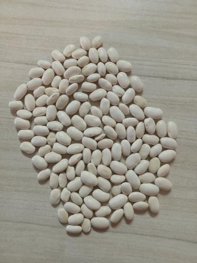 عکس بوجاری و سرتینگ حبوبات و تخمه