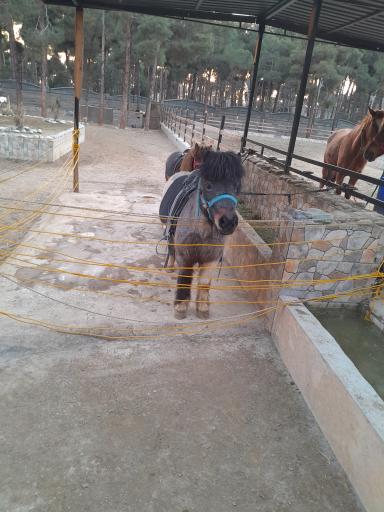 باغ وحش ارم سبز