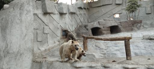 باغ وحش ارم سبز