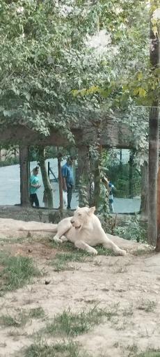 باغ وحش ارم سبز