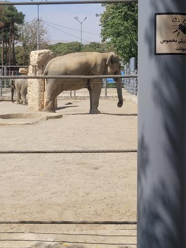 عکس باغ وحش ارم سبز