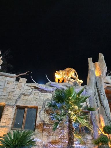 عکس باغ وحش ارم سبز