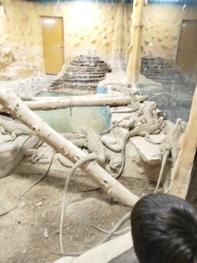 عکس باغ وحش ارم سبز