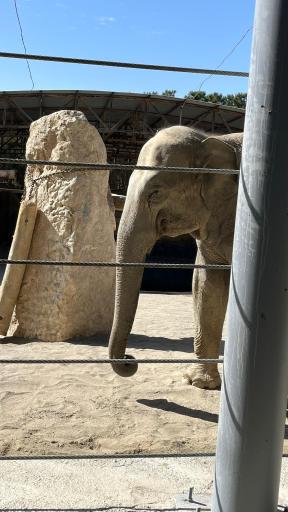 عکس باغ وحش ارم سبز