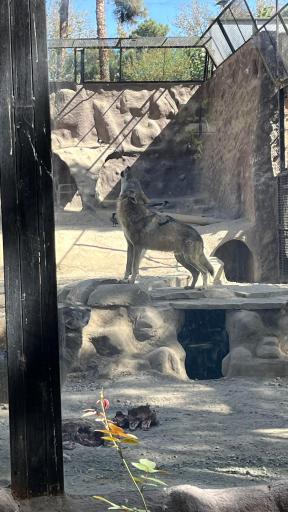 عکس باغ وحش ارم سبز