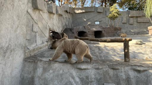 عکس باغ وحش ارم سبز