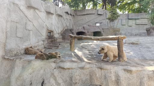 عکس باغ وحش ارم سبز