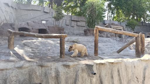 باغ وحش ارم سبز